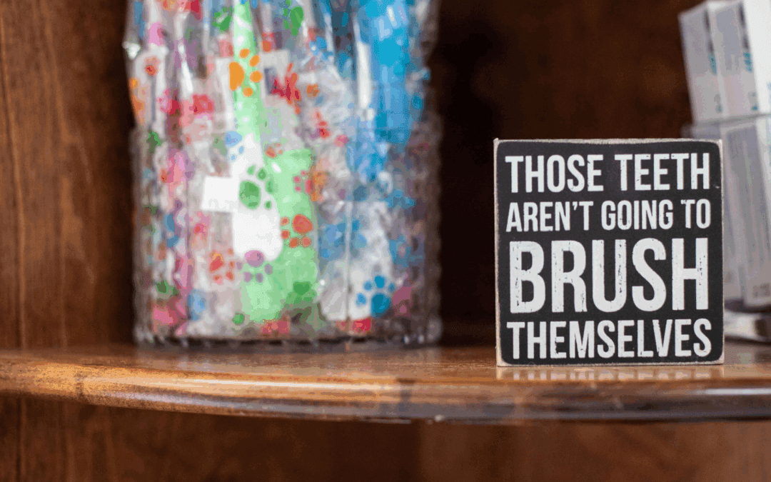 Common Dental Health Issues in Pets