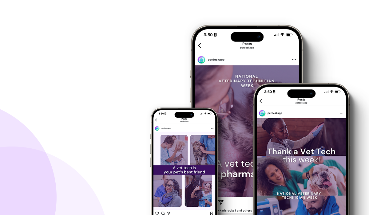 PetDesk_Vet Tech_Socials_2025_LP Feature Image Veterinary Technician Week Social Graphics