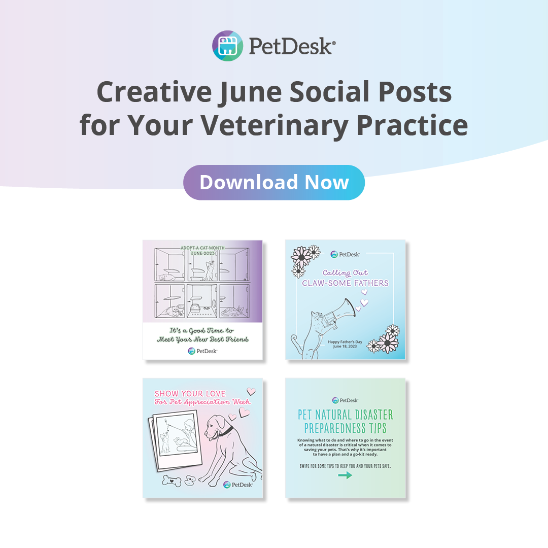 A sneak peak at our Creative June Social Posts for Your Veterinary Practice