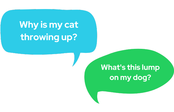 speech bubbles showing examples of pet questions people search for online