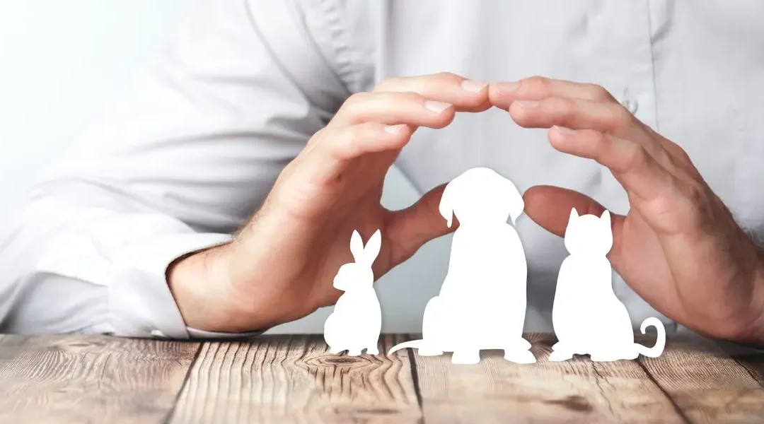 A person with their hands over silhouettes of a dog, cat, and rabbit.