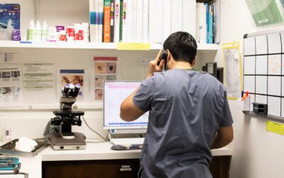 veterinary technician in back office area