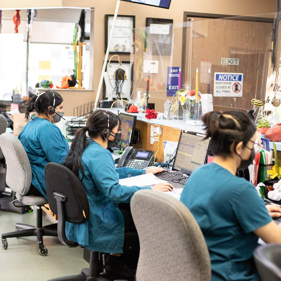 A team of veterinary CSRs at the front desk answering phones and booking appointments