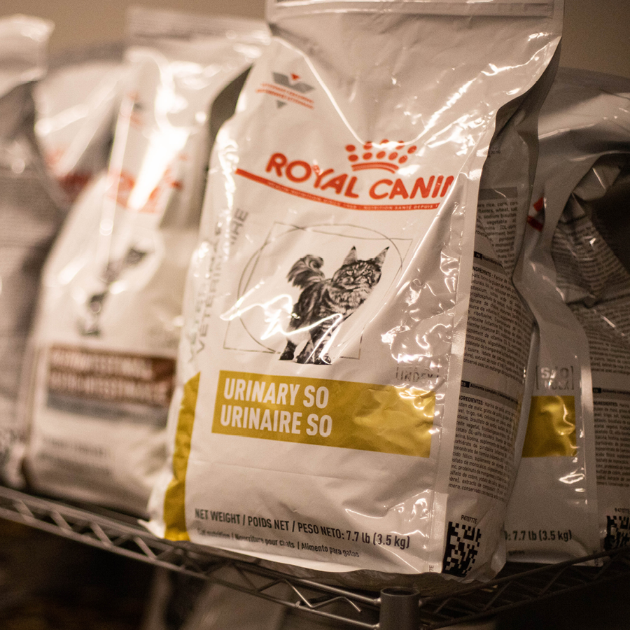 A snapshot of Royal Canin Cat Food