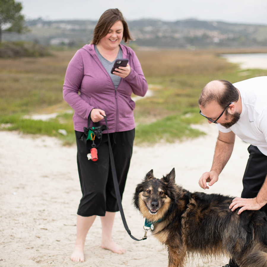 Female pet parent utilizing her cell phone while holding leased dog and while male pet parent pets happy dog
