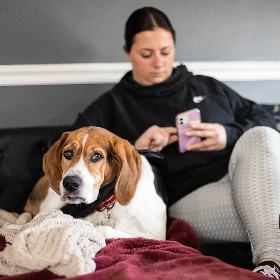 A pet parent using her cell phone while relaxing with her dog on the couch