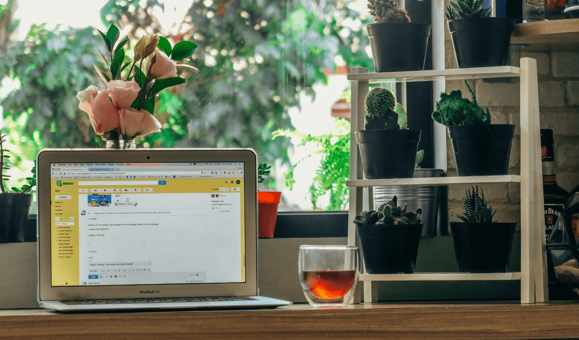 A scene of someone's desk with their email pulled up on their laptop, a cu of tea, and some house plants.