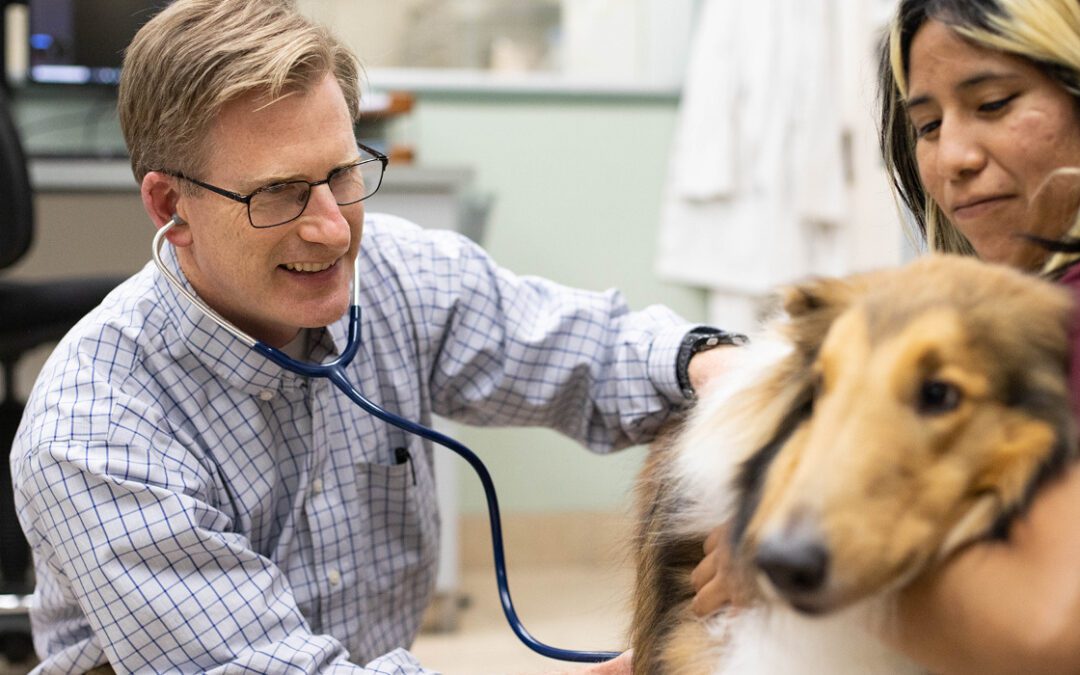 A veterinarian and veterinary technician happily examining a dog