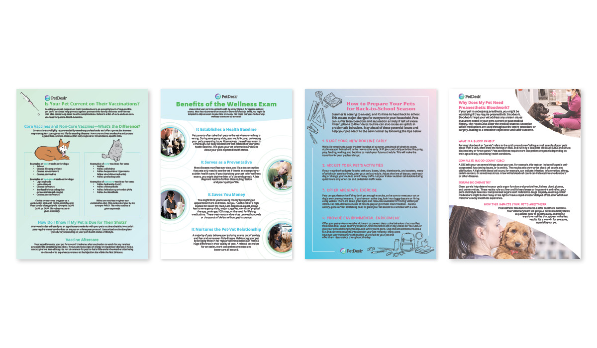 a peek at some of the materials inside the Ultimate Client Education Content Pack Handouts