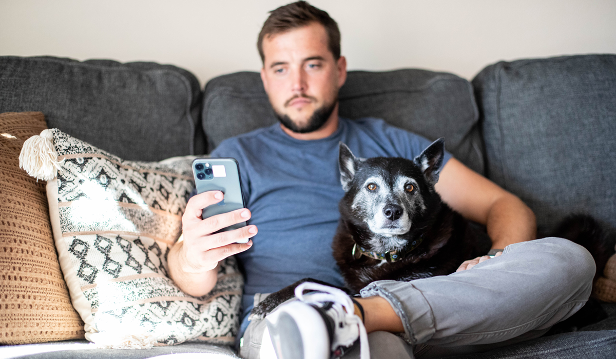 Pet parent using their cell phone while on the couch with their dog.