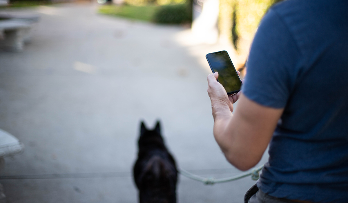 Pet parent walking their dog while utilizing their cell phone