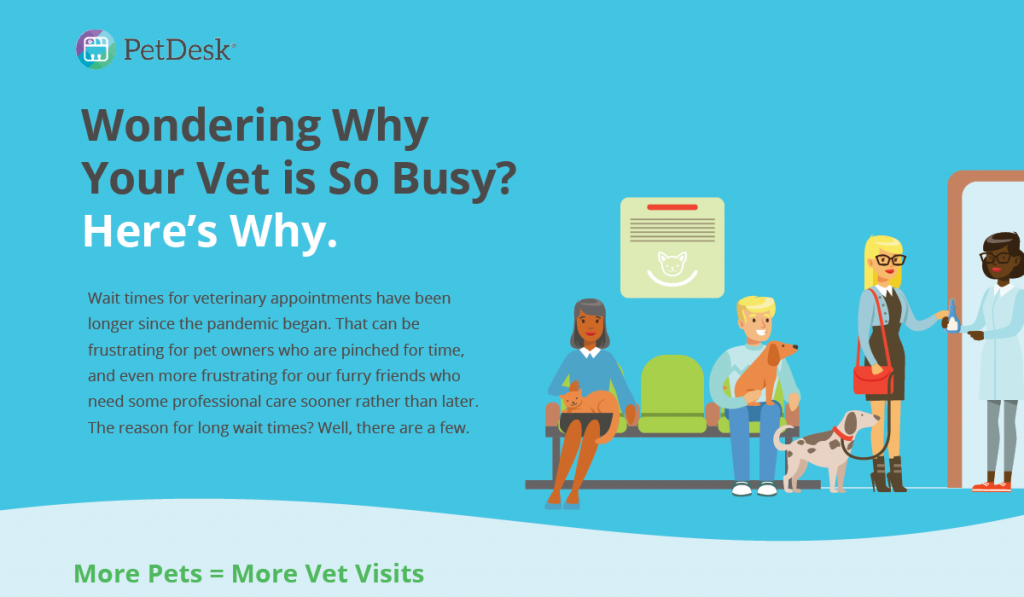 Why is My Vet So Busy Infographic