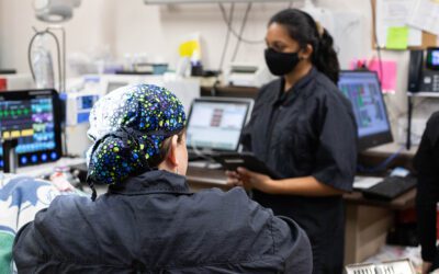 10 New Year’s Resolutions for Veterinary Clinics