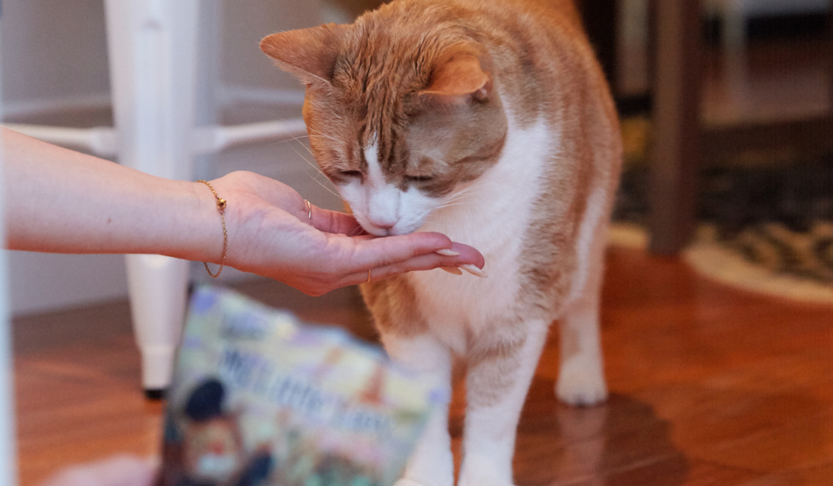 Woman feeding her cat treats
