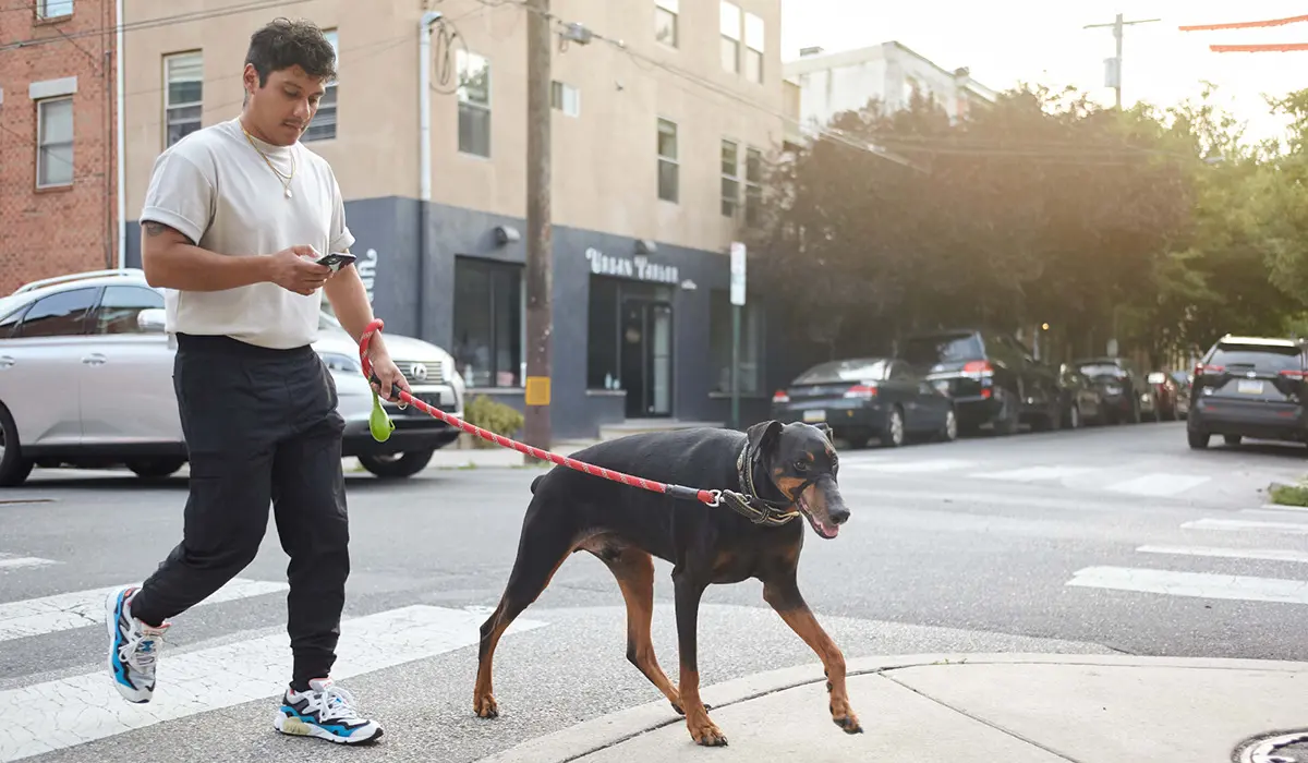 A man walking his dog while using his cell phone