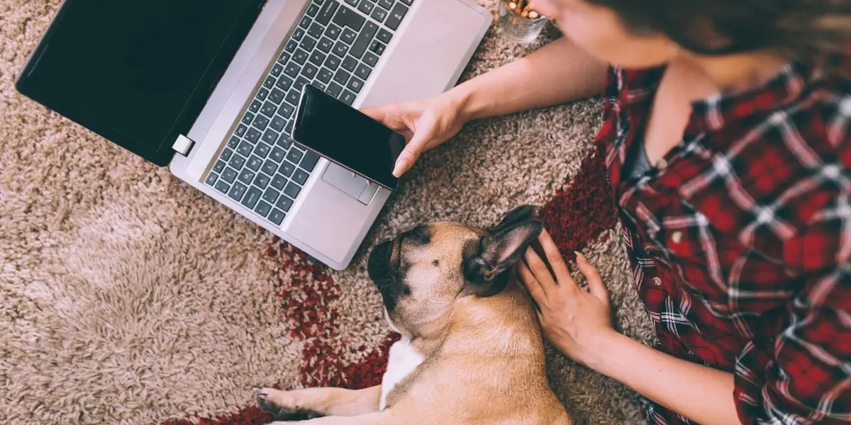 Girl using her phone and laptop while her dog lays next to her