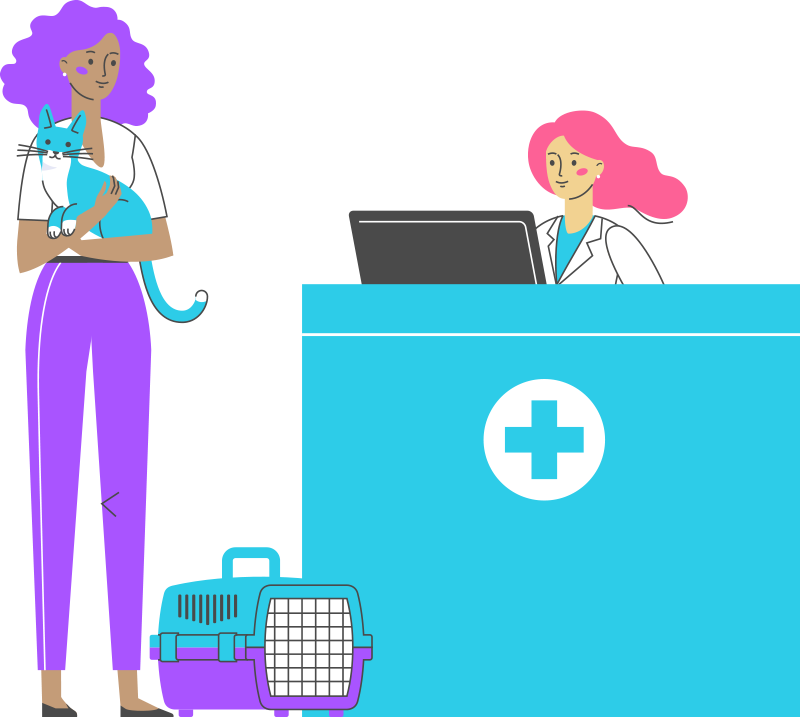 illustration of client and cat with vet