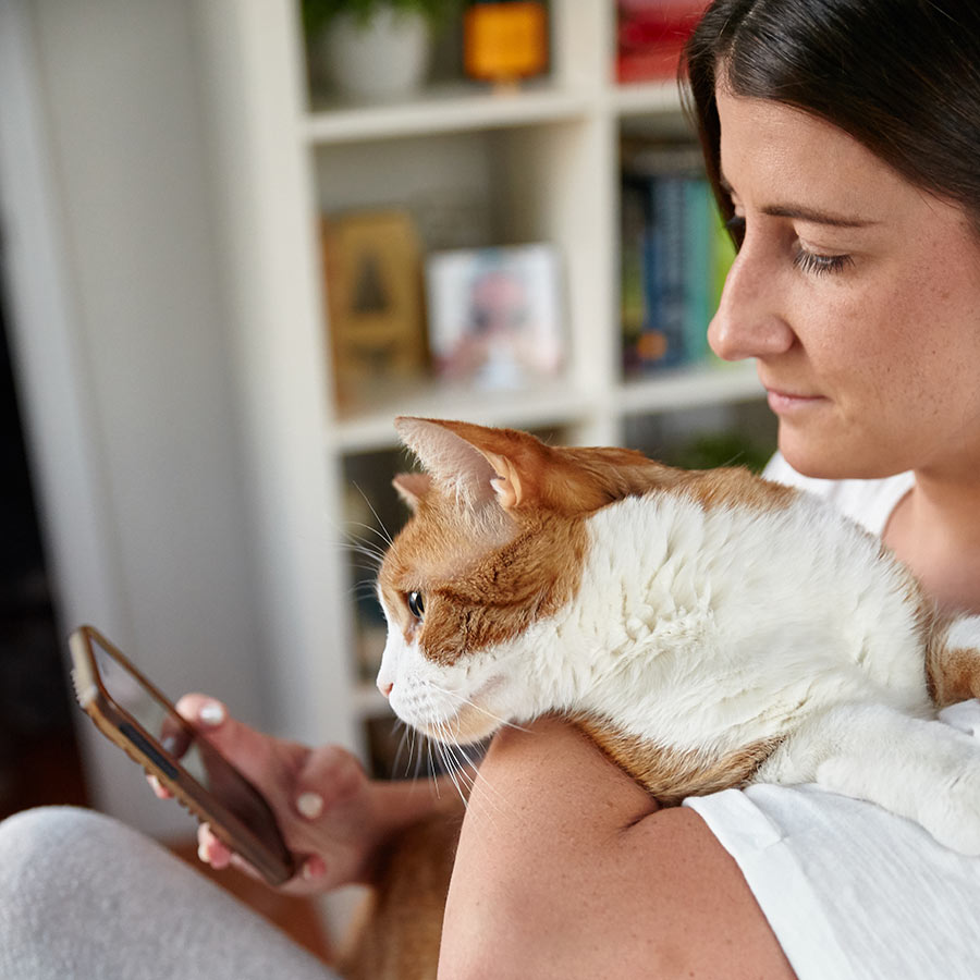 pet parent holding cat while using phone