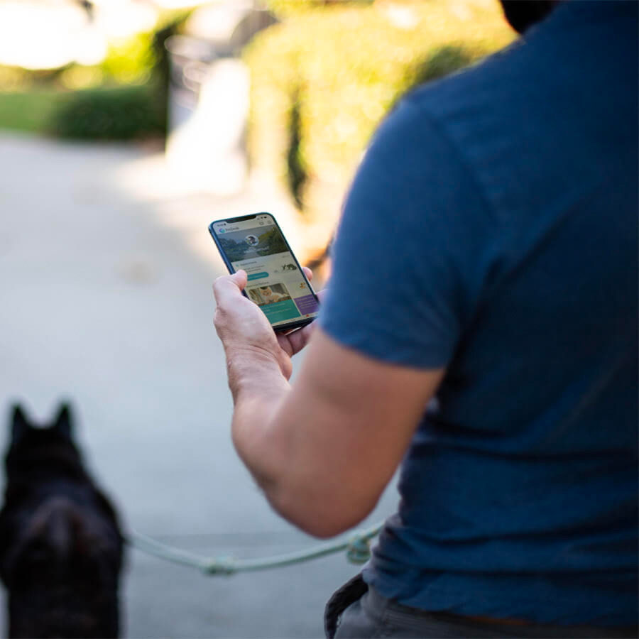 pet parent using PetDesk app while walking dog