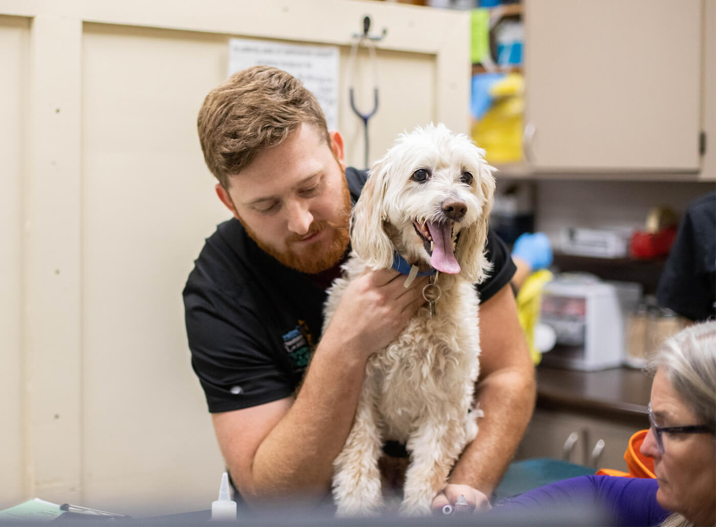 veterinary team member helping happy dog