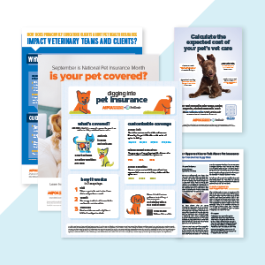 A sneak peak at the ASPCA® Pet Health Insurance Content Pack