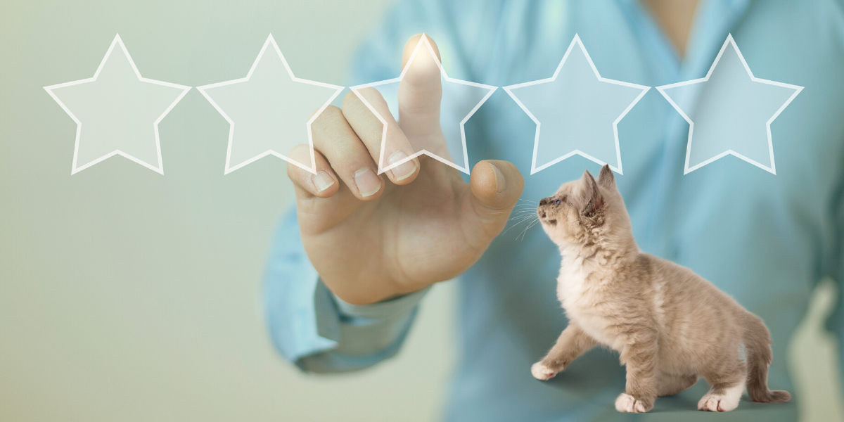 Man pointing at a star in a 5-star rating