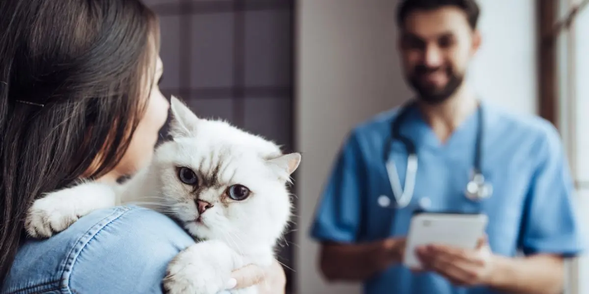 Client holding their cat while chatting with a DVM