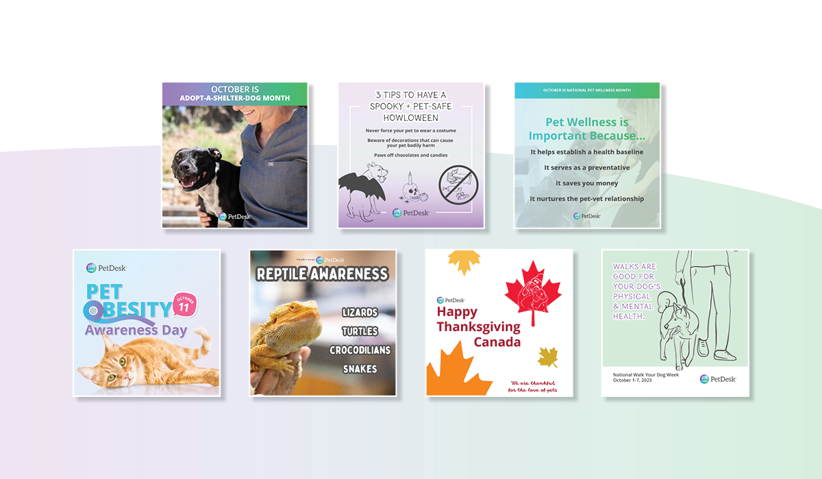A sneak peak at our October resources