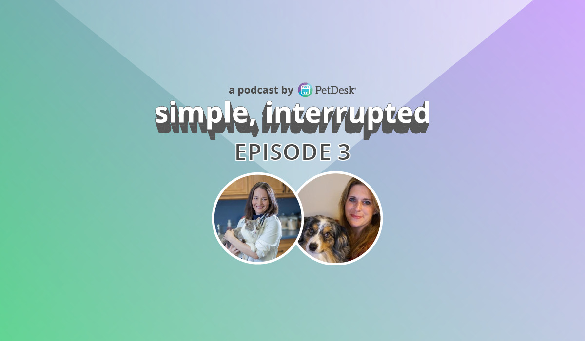 Simple, Interrupted: Episode 3