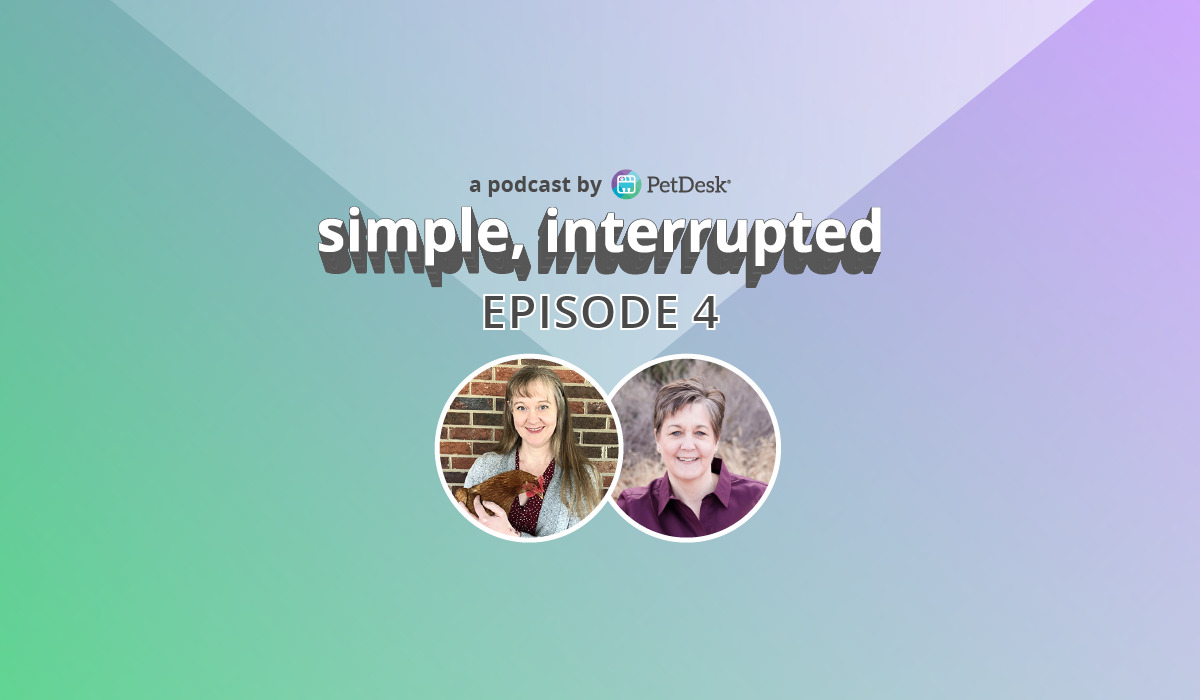 Simple, Interrupted: Episode 4