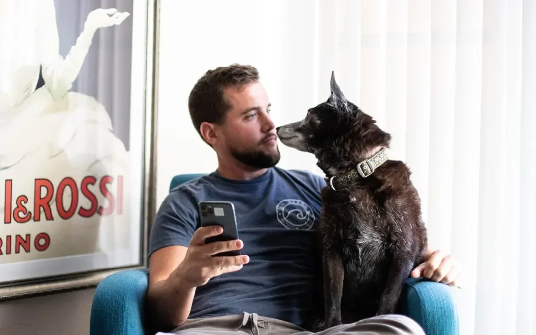 Pet parent using phone while looking at dog sitting on their lap.