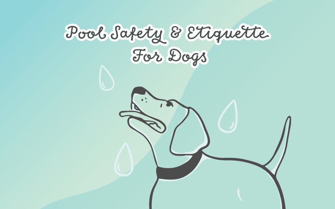 An illustration of a happy dog with the title of "Pool Safety & Etiquette for Dogs"