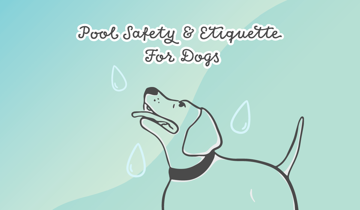 An illustration of a happy dog with the title of "Pool Safety & Etiquette for Dogs"