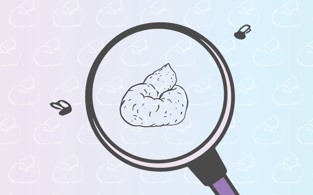 An illustration of a magnifying glass over poop with flies around it