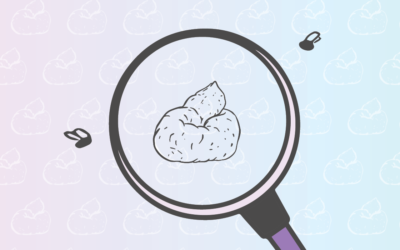 Let’s Talk About Poop
