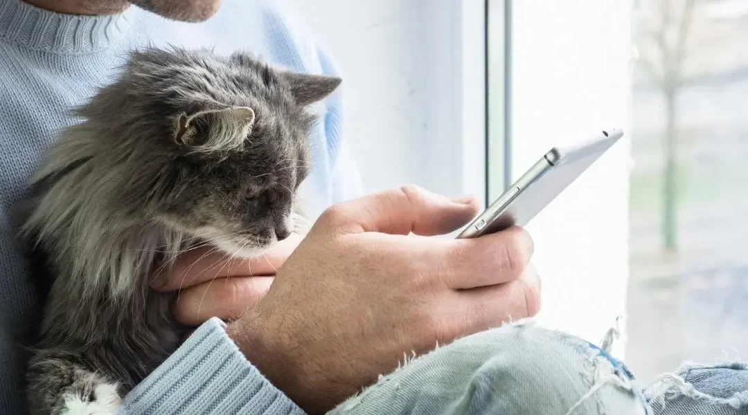 Pet parent using their smartphone while their cat sits on their lap