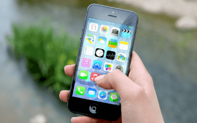 Pet Portal or Native Mobile App? Which is Right for Your Veterinary Clinic?