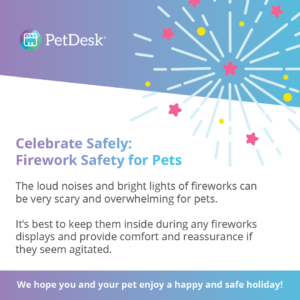 Celebrate Safely: Firework Safety for Pets