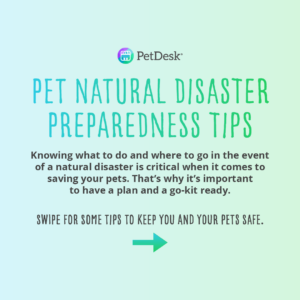 Pet Natural Disaster Preparedness Tips