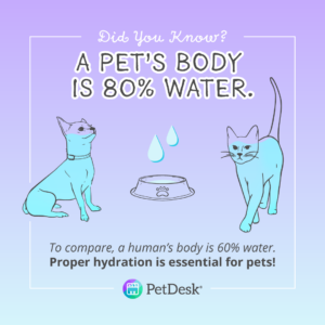 Did you know a pet's body is 80% water?