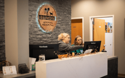 How to Streamline Your Veterinary Clinic for the Future