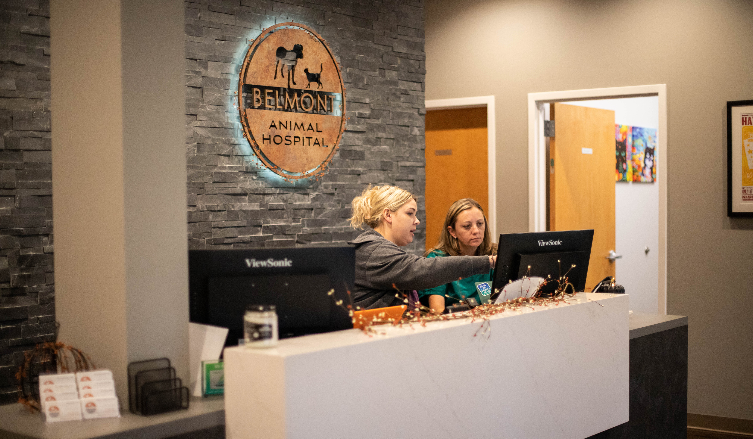 Streamline Your Veterinary Clinic For The Future