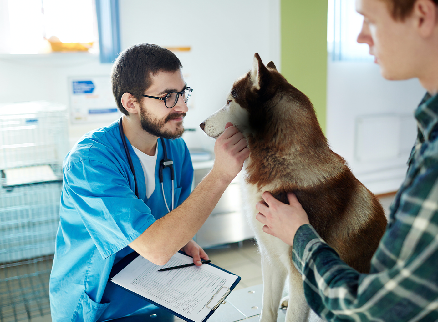 Veterinarian happily examining a dog