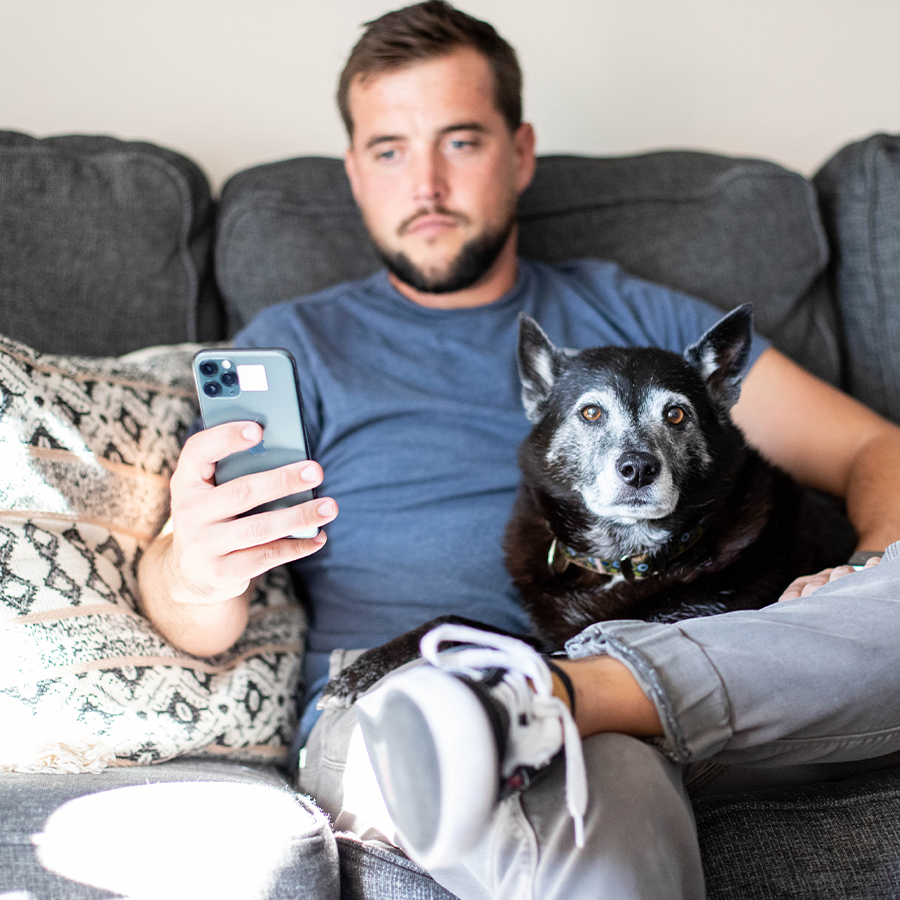 Pet parent using their cell phone while sitting on the couch with their dog