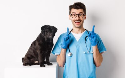 Bringing Joy Back to the Veterinary Clinic: Tips for Improving Veterinary Team Morale