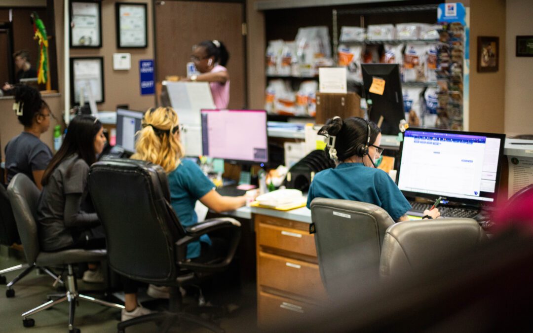 Group of veterinary CSRs working at the front desk of a veterinary hospital