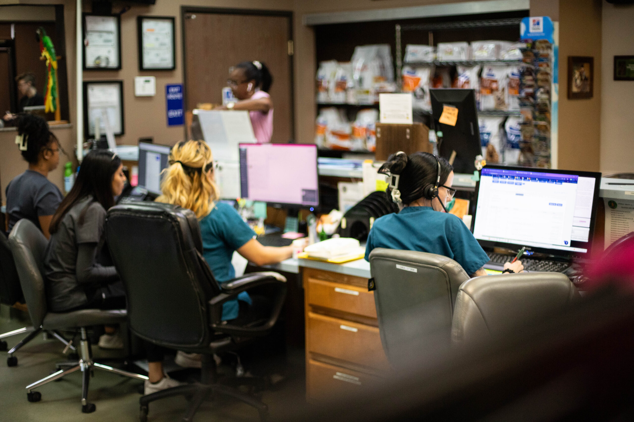 Group of veterinary CSRs working at the front desk of a veterinary hospital