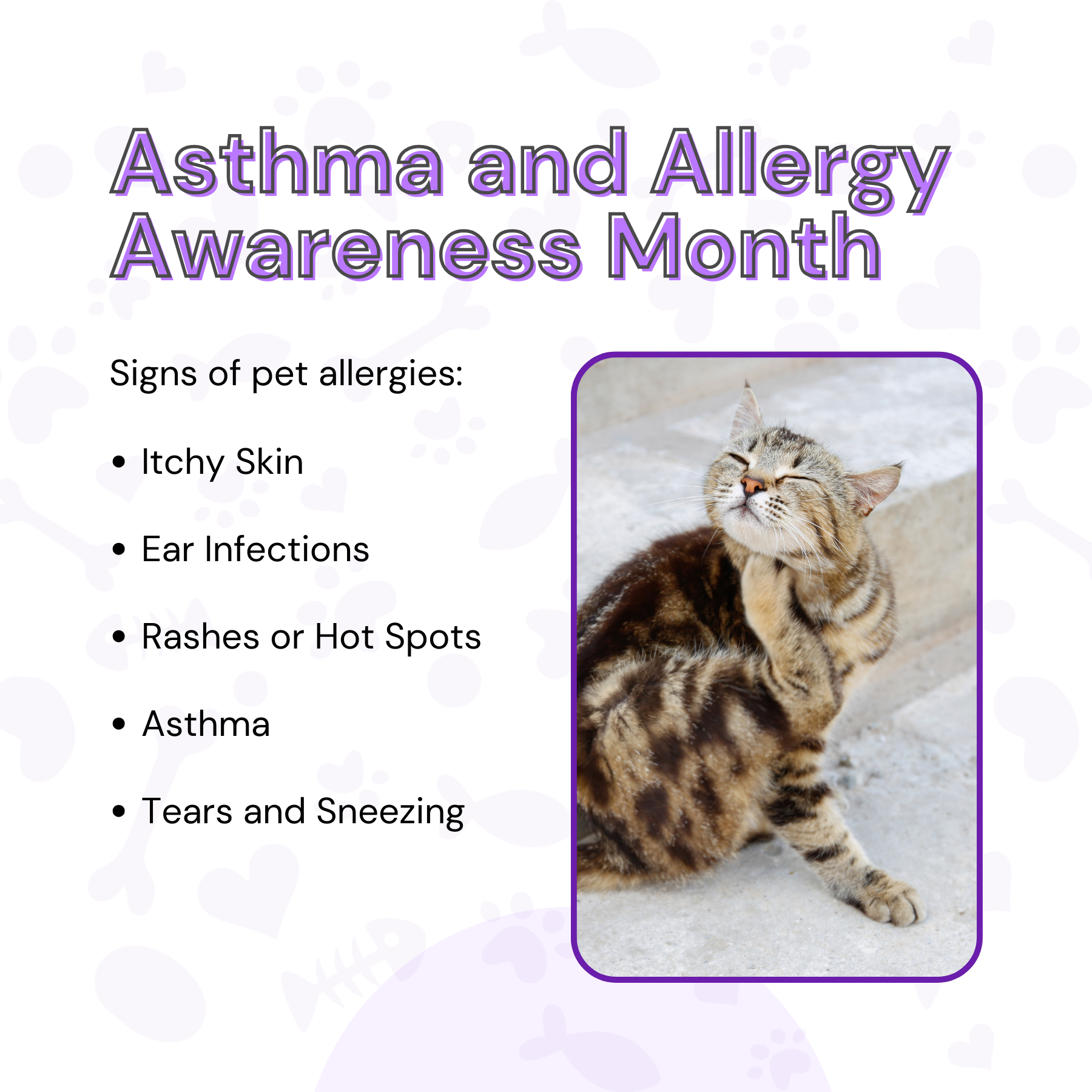 Asthma and Allergy Awareness Month