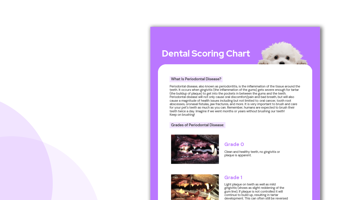 Dental Scoring Chart