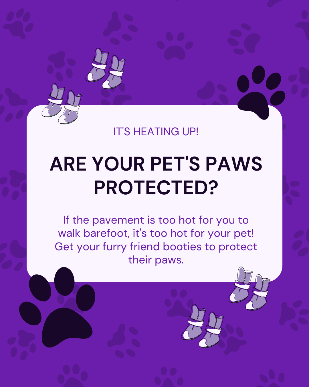 Paw protection social graphic